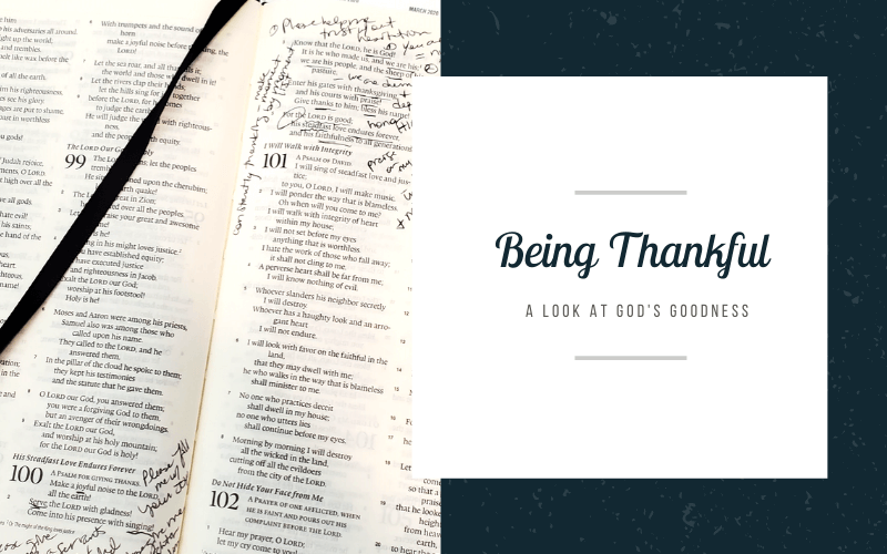 What Are You Thankful For?